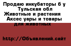 Продаю инкубаторы б/у - Тульская обл. Животные и растения » Аксесcуары и товары для животных   
